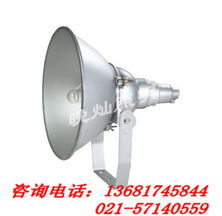 上海晚燦照明燈具廠專業投射燈產品列表